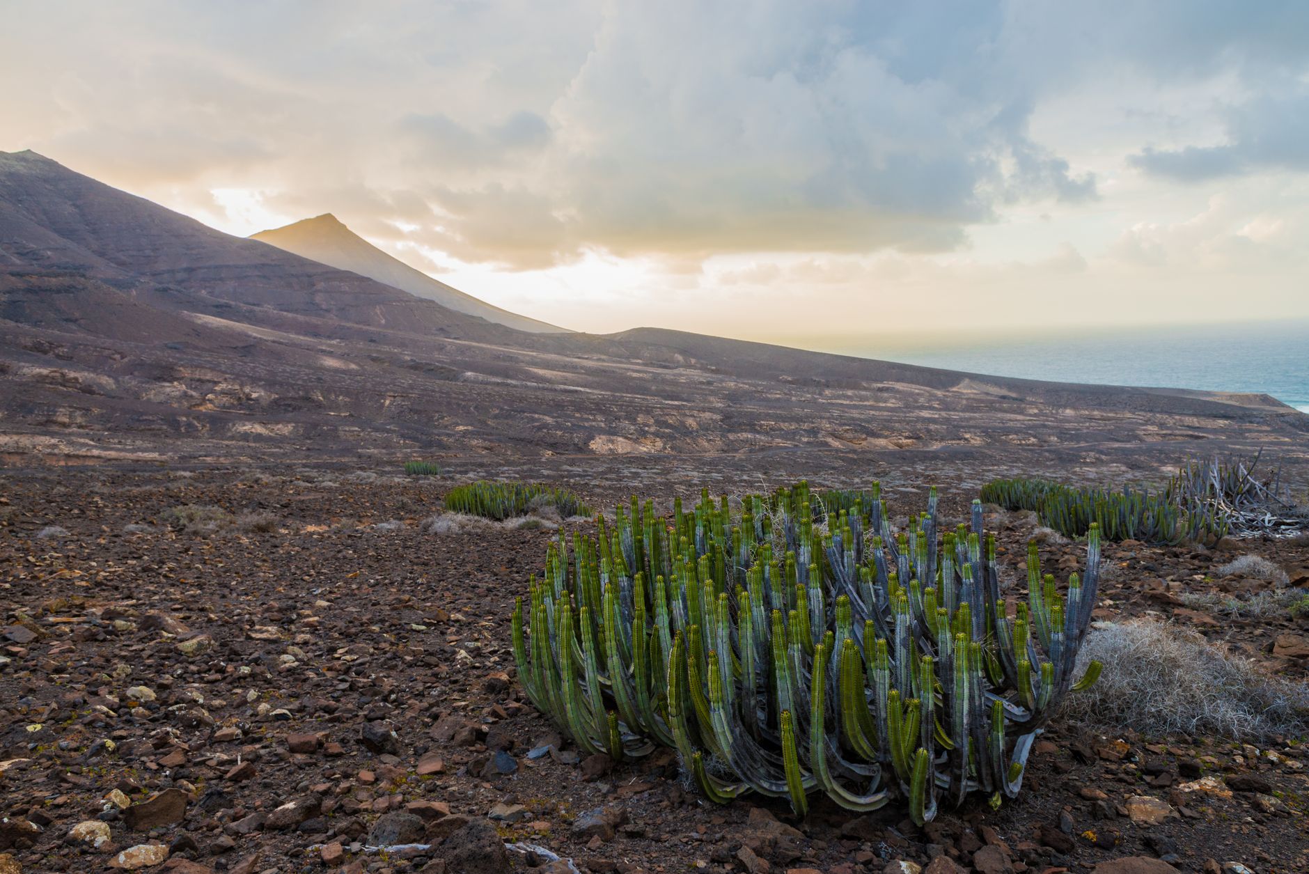 Cape Verde travel guide: What locals actually recommend