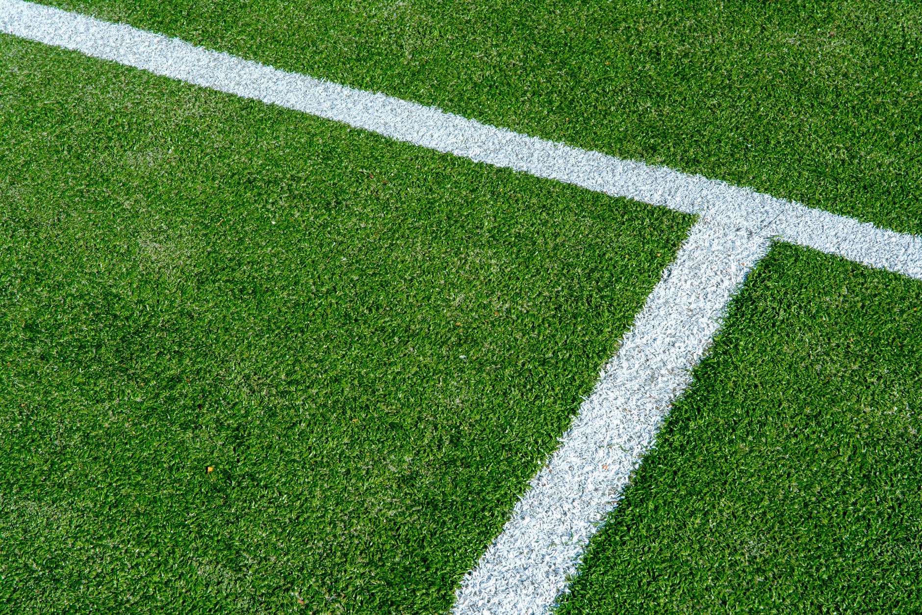 Wimbledon tournament updates Just Changed Everything — Here's Why